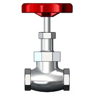 T&S Brass 006648-25 T&S Brass 006648-25 Globe Valve with Red Handle