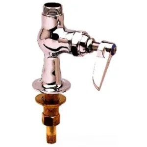 T&S Brass B-0205-CR-LN T&S Brass B-0205-CR-LN Single Pantry Faucet (Less Nozzle)
