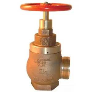 Wilkins 1-NR3XLDU Wilkins ZW4000ILG 2-1/2 Fire Hose Valve