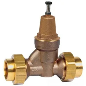 Watts N55B VWPRV114 N55B 1-1/4