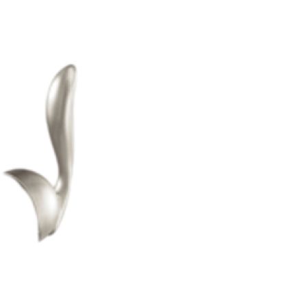 Moen 148820CSL Moen Arbor Classic Stainless Handle Kit - 148820CSL