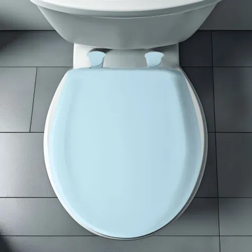 Bemis Classic Colors EasyClean Round Toilet Seat with Cover ...