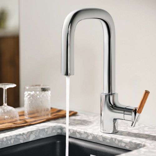Moen Tenon Chrome SingleHandle Pulldown Prep/Bar Faucet with