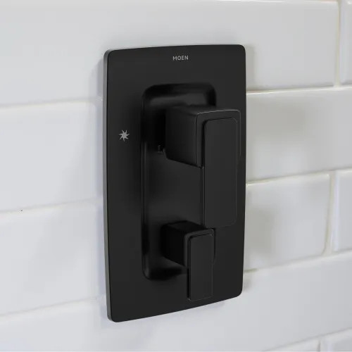 Moen Iver Posi-Temp Three-Function Diverter Pressure Balancing