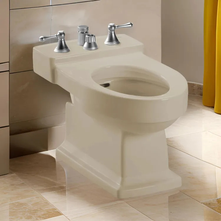 Toto Bone Lloyd Bidet, Vertical Spray - BT930B#03