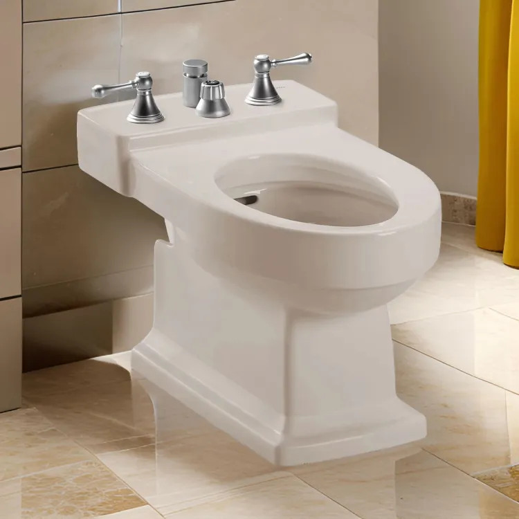 TOTO Sedona Beige Lloyd Bidet, Vertical Spray - BT930B#12