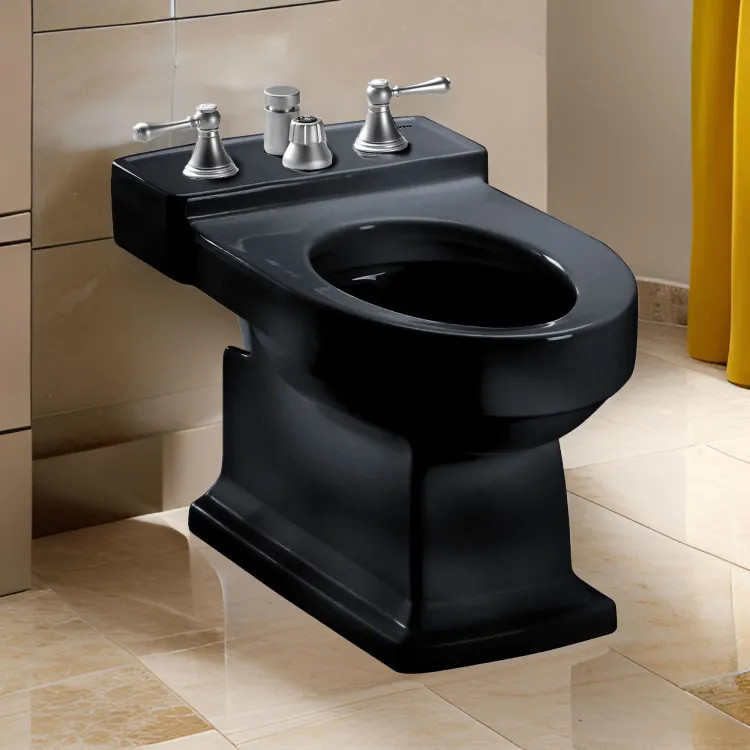 TOTO Ebony Lloyd Bidet Vertical Spray - BT930B 