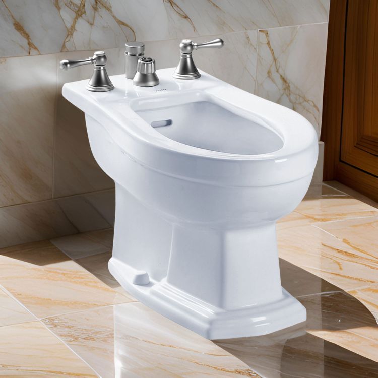 Toto BT784B Cotton White Clayton Bidet Vertical Spray