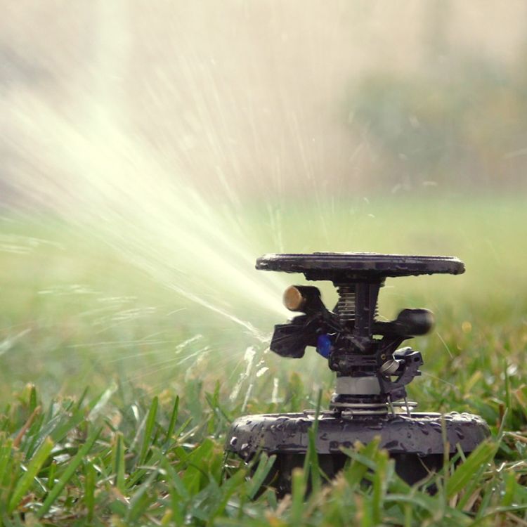 Rain Bird Maxi-Paw Pop-Up Impact Rotor Sprinkler with #8 Blue Nozzle and Seal-A-Matic, Full Circle/Adjustable Arc - 2045ASAM08