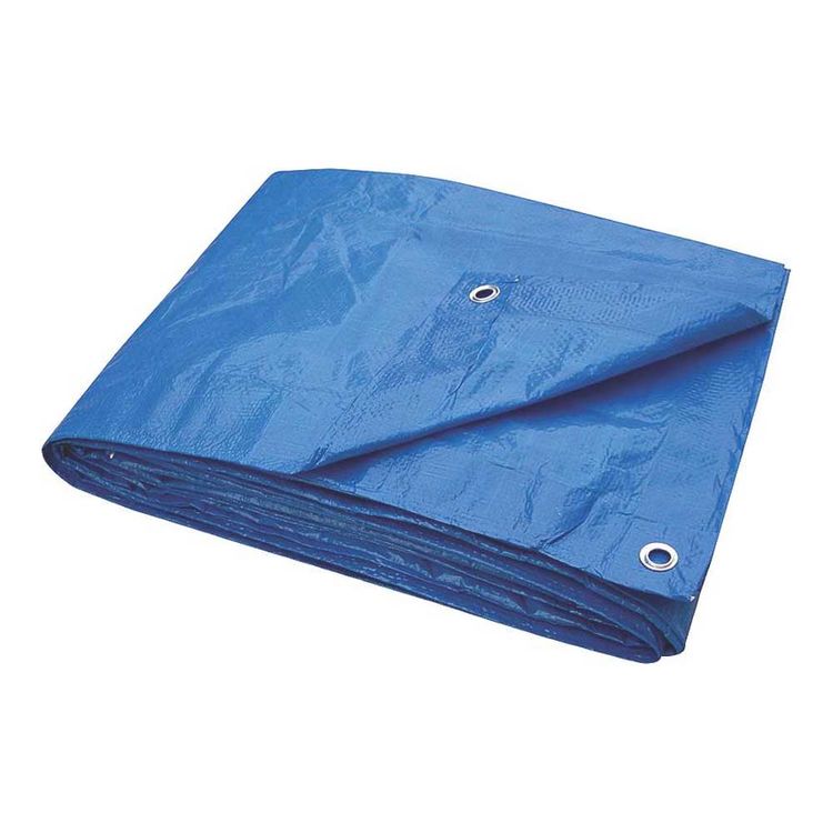 Toolbasix T0608BB70 Light Duty Tarpaulin, 6 X 8 ft, Plastic, Blue