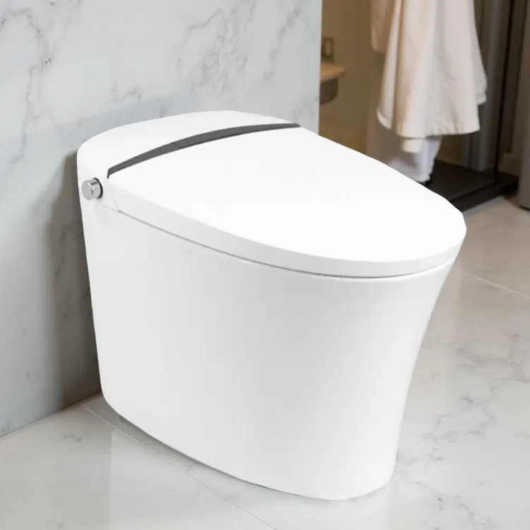 ProStock 2K Smart Toilet w/ Bidet Combo, 1.6 GPF, White - PSBTWE2000