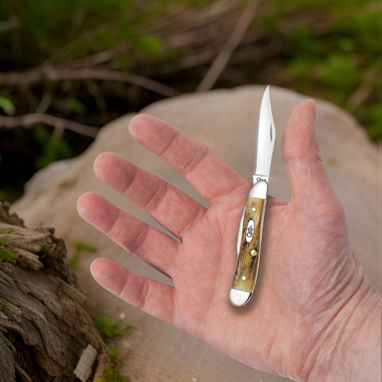 Case Folding Knife with Two Blades and Stag Handle, Stainless Steel - 048 