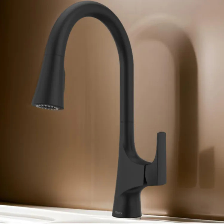 Pfister Norden Single-Handle Pull-Down Kitchen Faucet, Matte Black - GT529-NRB