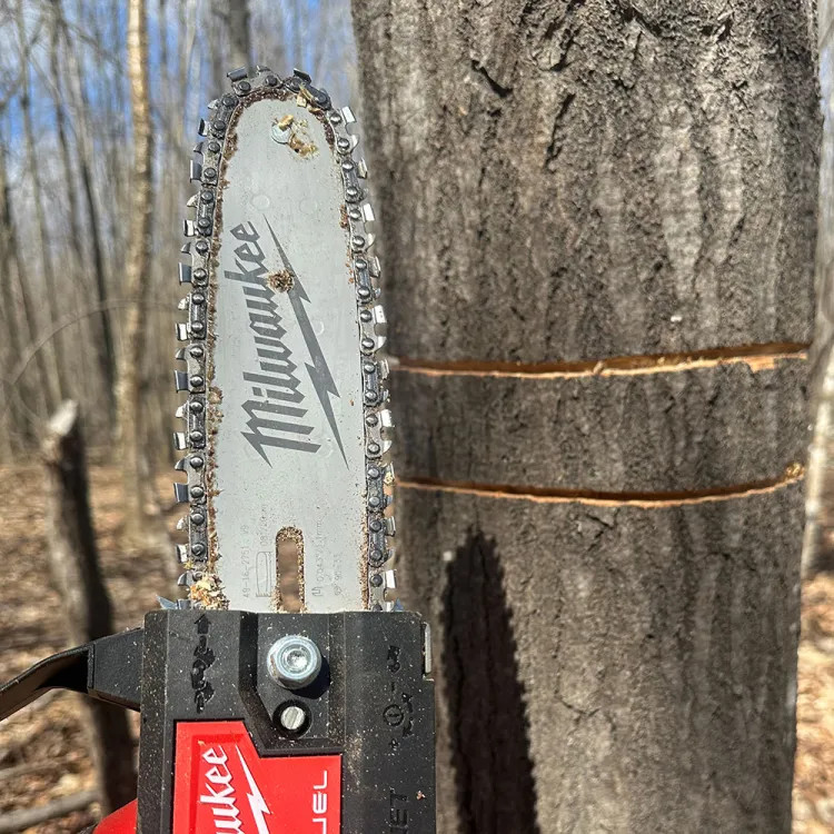Milwaukee 8" Pruning Saw Guide Bar with 33 Drive Links and 3/8" Pitch for M18 FUEL HATCHET 8" Pruning Saw - 49-16-2751