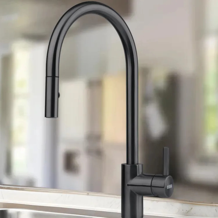 Franke Eos Neo 17" Pull-Down Single-Handle Kitchen Faucet with Nylon Hose, 1.75 GPM, Industrial Black - EOS-PD-IBK