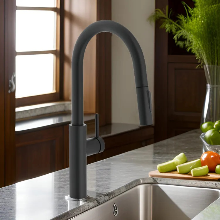 Franke Pescara Single Handle High Arc Pull-Down Kitchen Sink Faucet, Lever Handle, 1.75 GPM, Matte Black - PES-PD-MBK