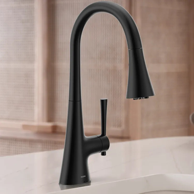 Moen Kurv Single-Handle 3-in-1 Water Filtration Pulldown Kitchen Faucet, 1.5 GPM, Matte Black - F9126BL