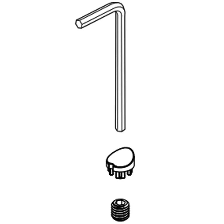 Brizo Kintsu Set Screw and Button Cover for Multi-Function Slide Bar Handshower, Polished Chrome - RP101579PC