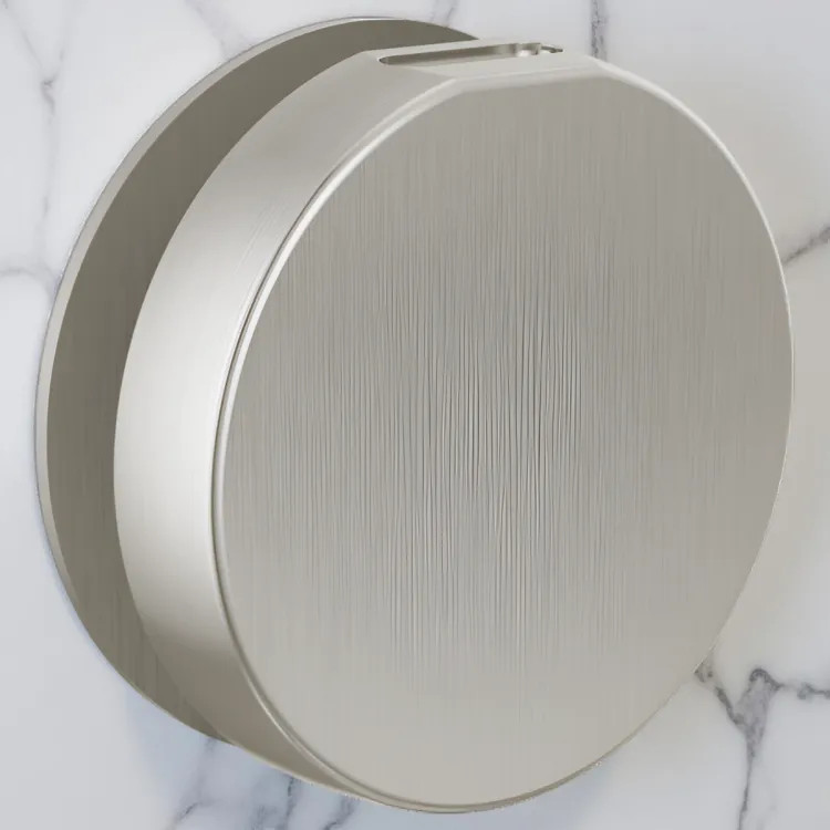 Brizo Mystix Contemporary Round Steam Head, Brilliance Brushed Nickel - RP103313BNL