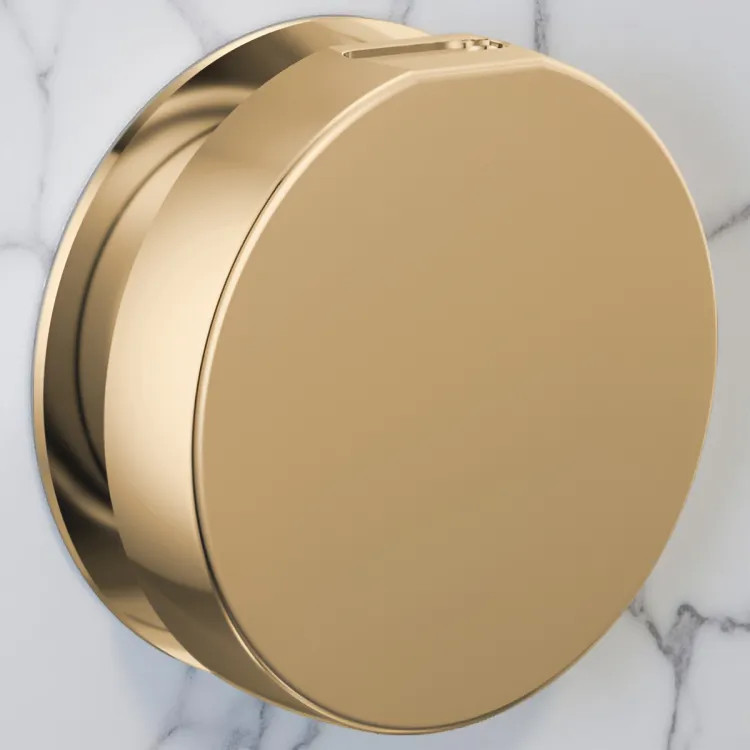 Brizo Mystix Contemporary Round Steam Head, Brilliance Polished Gold - RP103313PGL