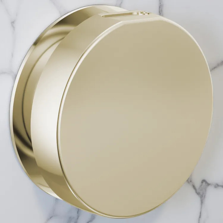 Brizo Mystix Contemporary Round Steam Head, Brilliance Polished Nickel - RP103313PNL