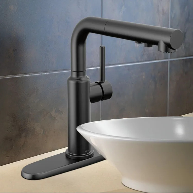 Delta Daneri Single Handle Pull-Out Kitchen Faucet, Touch-Clean, Diamond Seal, MagnaTite, ADA, 1.8 GPM, Matte Black - 16879-BL-DST