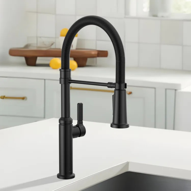 Delta Rhett Single-Handle Pull-Down Kitchen Faucet w/ Spring Spout, 1.8 GPM, Matte Black - 18829-BL-DST