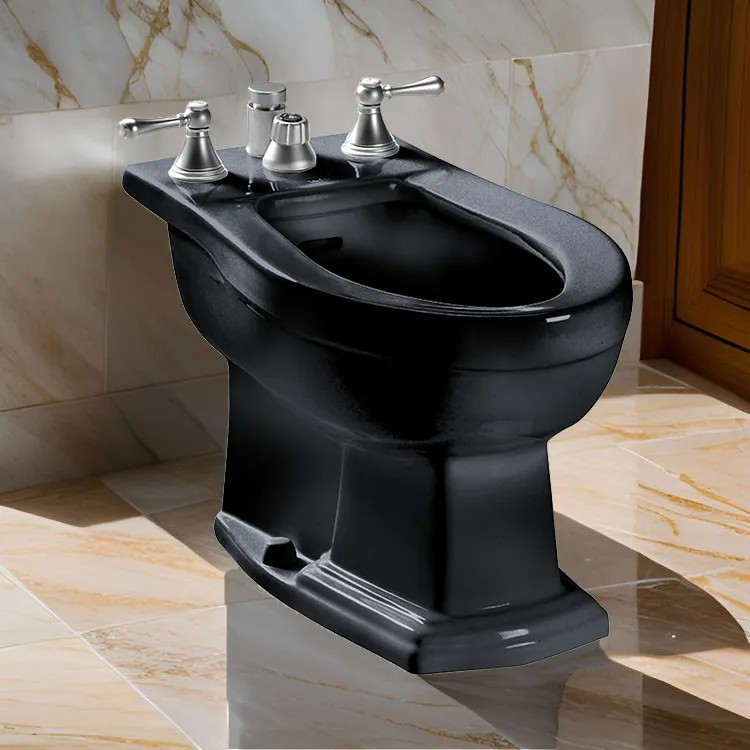 TOTO Clayton Bidet w/ Flushing Rim, Vertical Spray, Less Faucet, Ebony - BT784B#51