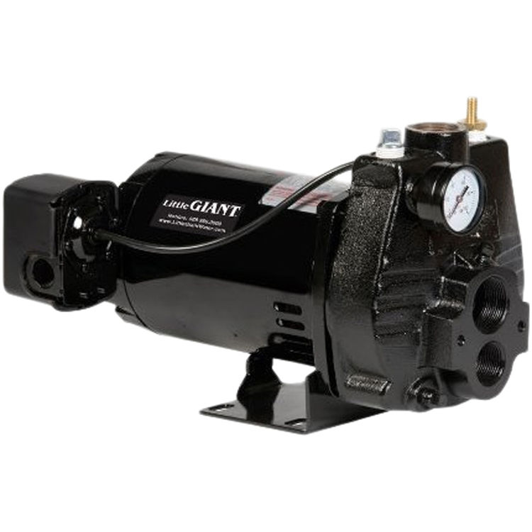 Little Giant Electric Motor for ACE-75 Pump, 3/4 HP, 115/230V - MOT-CJET (204140)