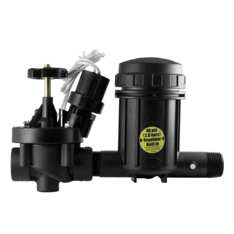 Rain Bird Wide Flow Light Commercial Control Zone Kit with 1" PEB Valve and 1" Pressure Regulating (40 PSI) Basket Filter - XCZ100PRBLC (X10329)