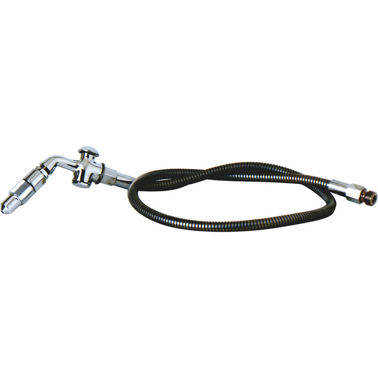T&S Brass B-0973 Bedpan Washer, Stainless Steel Hose, Push Button Self Closing