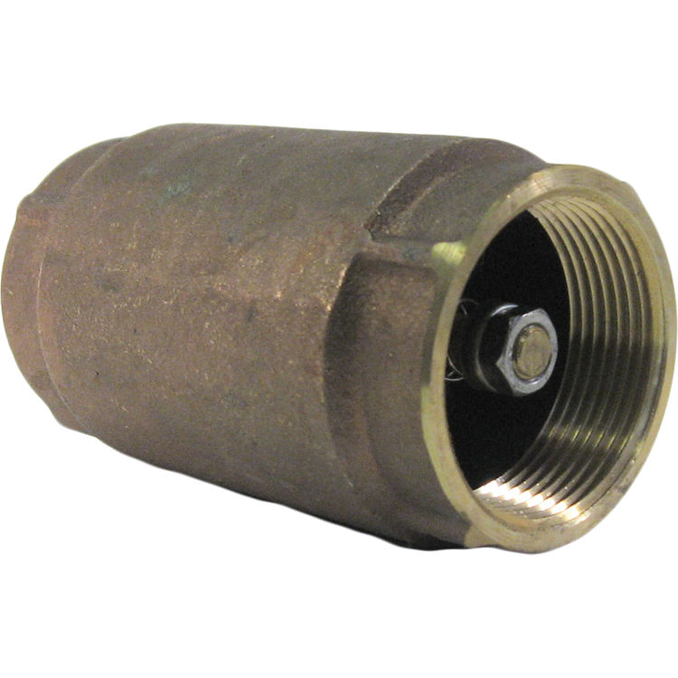 1-1/4" Spring Check Valve