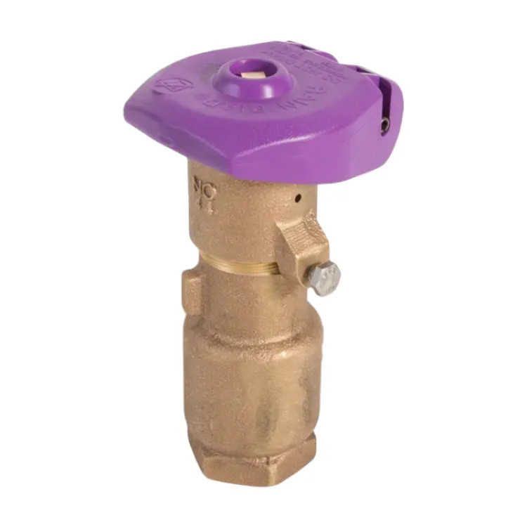Rain Bird 1" Brass Quick Coupling Valve with Purple Locking Rubber Cover, Non-Potable - 44NP (B12125)