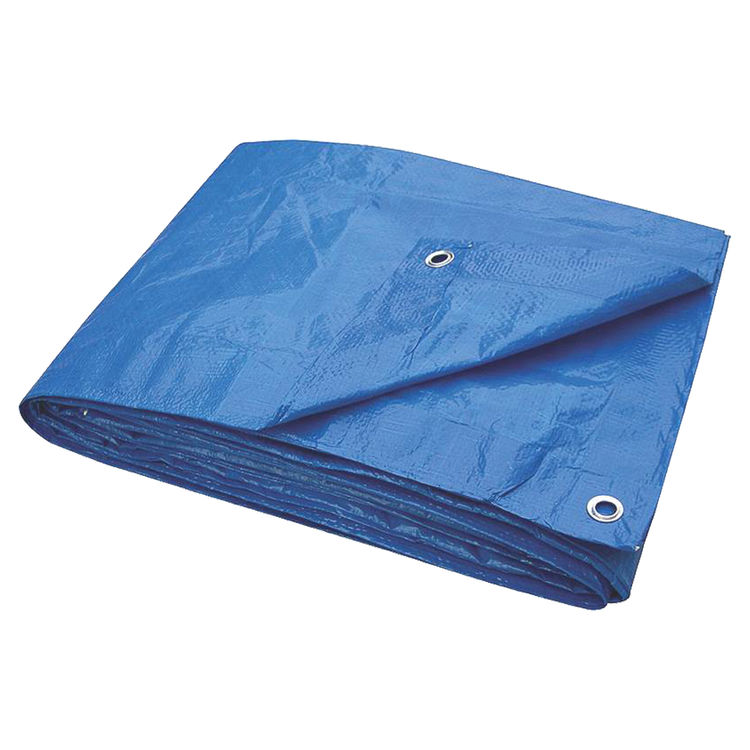 Toolbasix T1216BB70 Light Duty Tarpaulin, 12 X 16 ft, Plastic, Blue