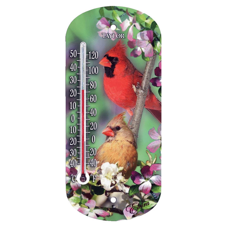 Cardinals, Taylor 5204 Weather Resistant Window Thermometer, -40 TO 120 deg F