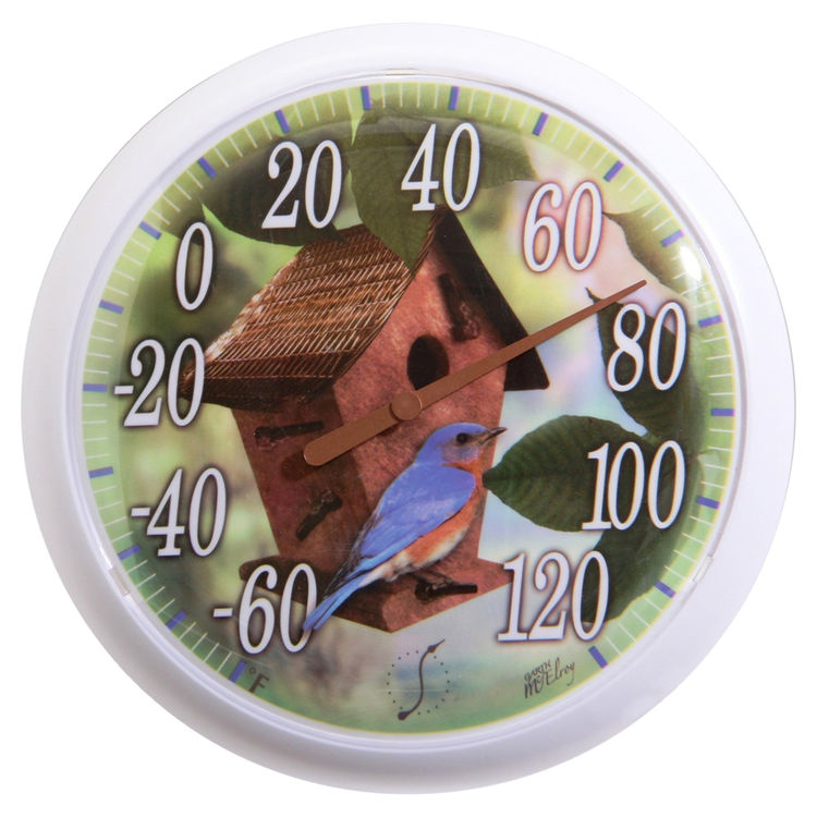 Taylor 90007-62 Shatterproof Weather Resistant Dial Thermometer, 13-1/4 in Dia