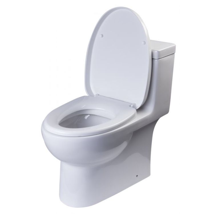 EAGO TB359 One-Piece Elongated Toilet, 1.6 & 1.1 GPF - White