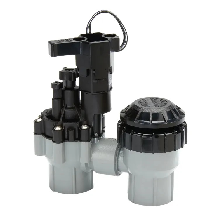 Rainbird ASVF 1" FPT Threads Residential Anti-Siphon Irrigation Valve with Flow Control - 100ASVF (B73100)