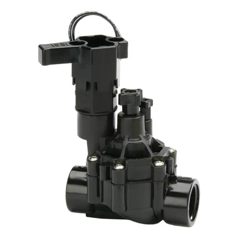 Rainbird DVF 1" FPT Inline Plastic Residential Irrigation Valve with Flow Control - 100DVF (B72421)