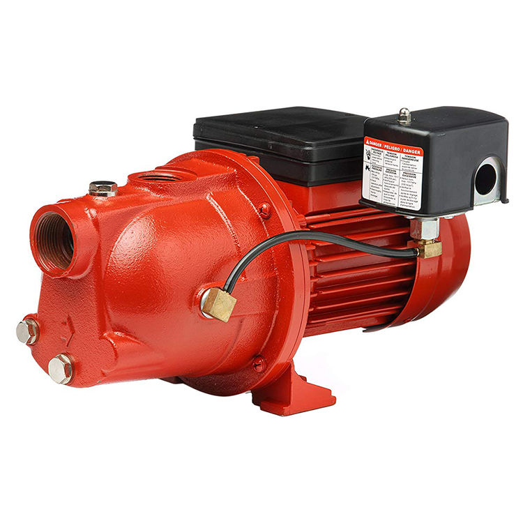 Red Lion SWJ Series 3/4 HP Shallow Well Jet Pump with 30/50 Pressure Switch, 115/230 V, Cast Iron, 1" FNPT - RL-SWJ75 (97080701)