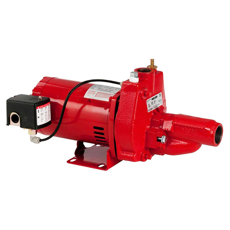 Red Lion High-Performance Convertible Jet Pump with Deep Well Injector, 1 HP, 115/230V, 20 GPM, 20 PSI, Cast Iron - RJC-100 (602038)