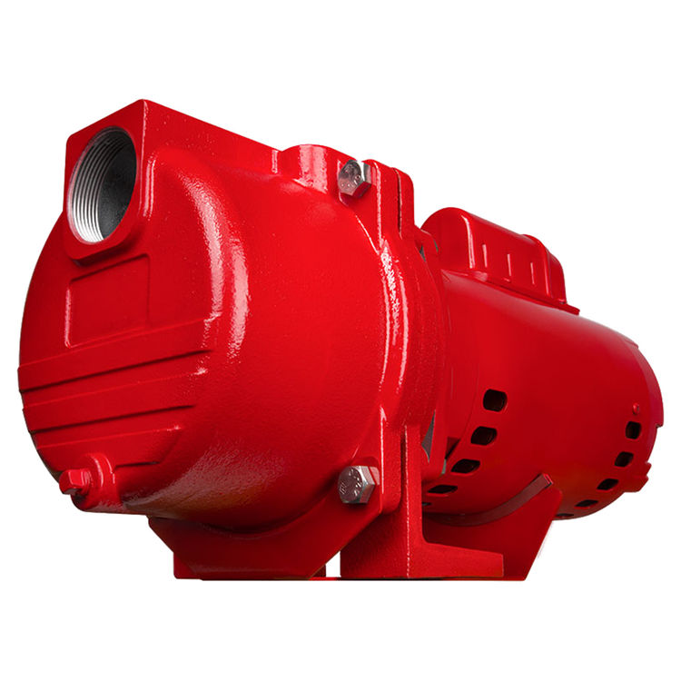 Red Lion 1 HP Cast Iron Sprinkler Pump, 63 GPM, 45 PSI, 115/230 V, 25' Lift, 1-1/2" FNPT Discharge - RL-SPRK100 (97101001)