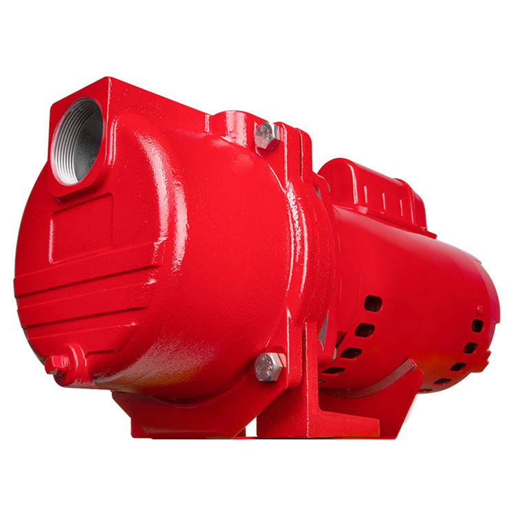Red Lion 2 HP Cast Iron Sprinkler Pump with Brass Impeller, 77 GPM, 47 PSI, 230 V, 25' Lift, 1-1/2" FNPT Discharge - RL-SPRK200-BR (97102002)
