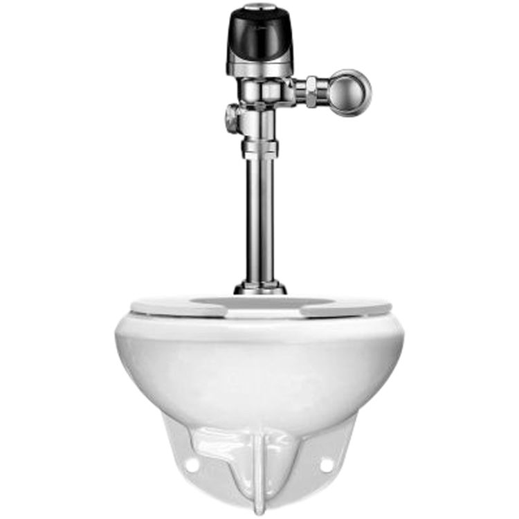 Sloan WETS-2050.1401 ST-2059 Water Closet and G2 8111 Flushometer (20501401)