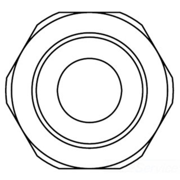 T&S Brass 004712-25 Male Adapter