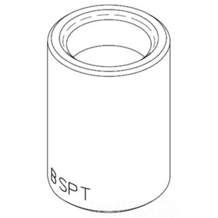 T&S Brass 011196-25 Adapter, 1/2" NPT Female x 1/2" BSPT Female