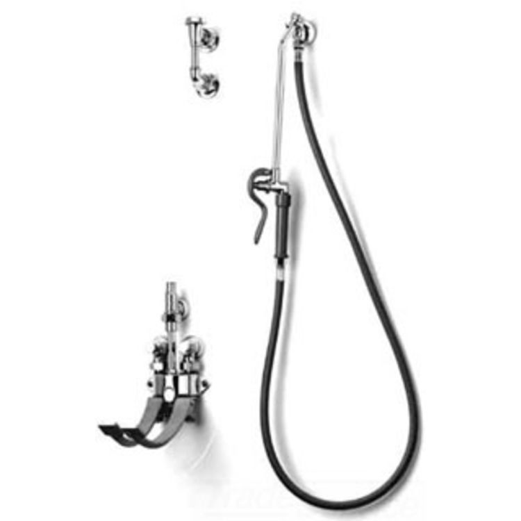 T&S Brass B-0676-54V Bedpan Washer, Vacuum Breaker, Extended Spray Outlet