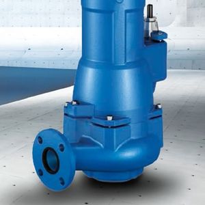 Pumps Image